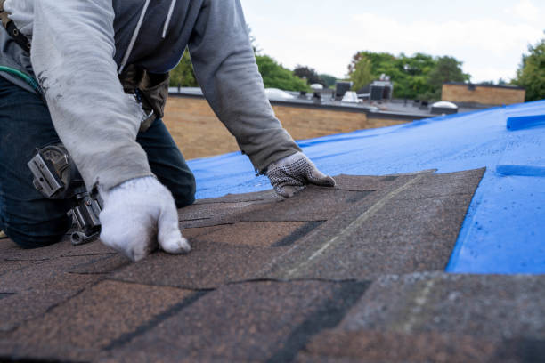 Best Storm Damage Roof Repair  in Sayre, PA